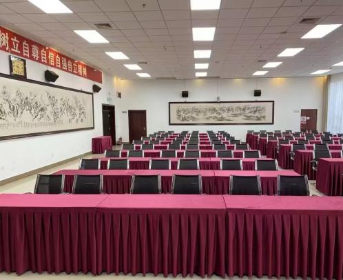 2026款天鵝絨臺裙